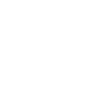Asset 7@2x