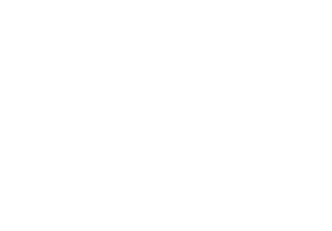 RICO logo
